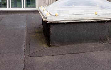 disadvantages of Snipeshill flat roofs