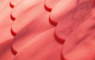 Snipeshill plastic roof costs